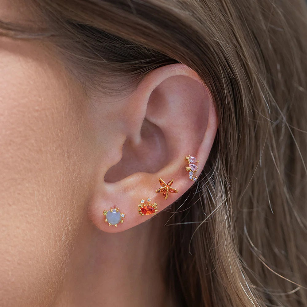 Adorable Ocean Design Earrings Set